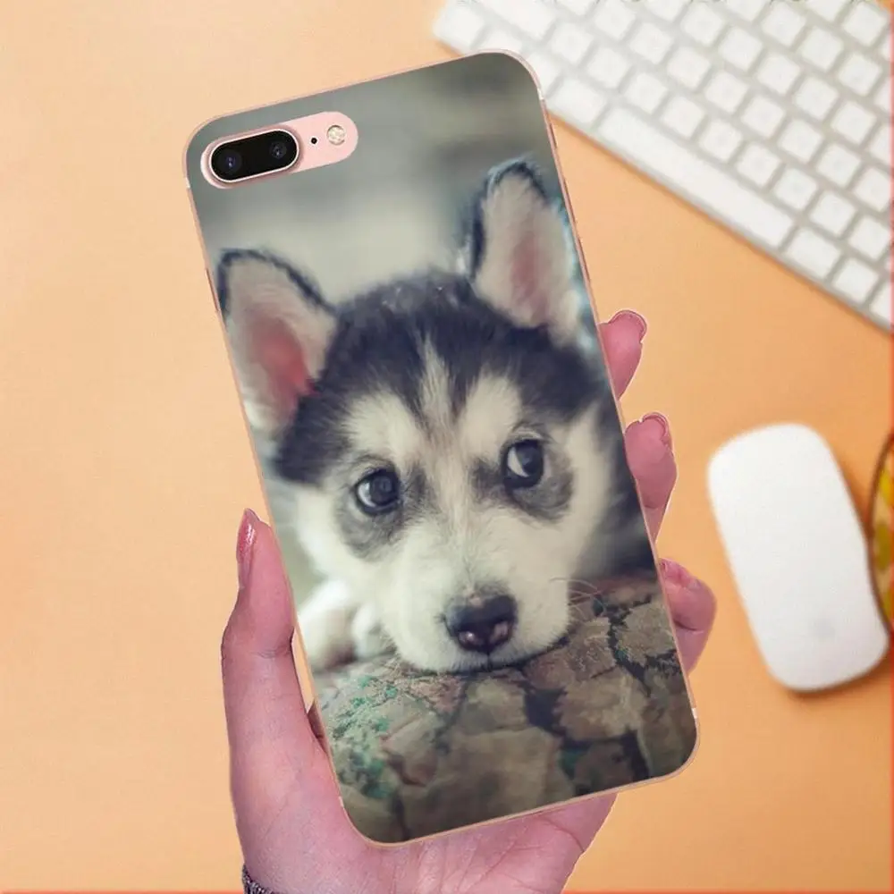 Ультратонкий чехол для телефона Sony Xperia Z Z1 Z2 Z3 Z4 Z5 compact Mini M2 M4 M5 T3 E3 E5 XA XA1 XZ Premium Husky Dog