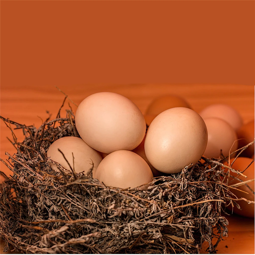 Bulk Set Of 6Pcs Bouncy Eggs Realistic Fake Rubber Bouncing Balls Pet Toy Prank Joke | Игрушки и хобби