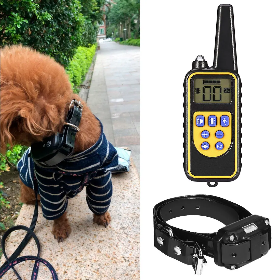 

Pet Products