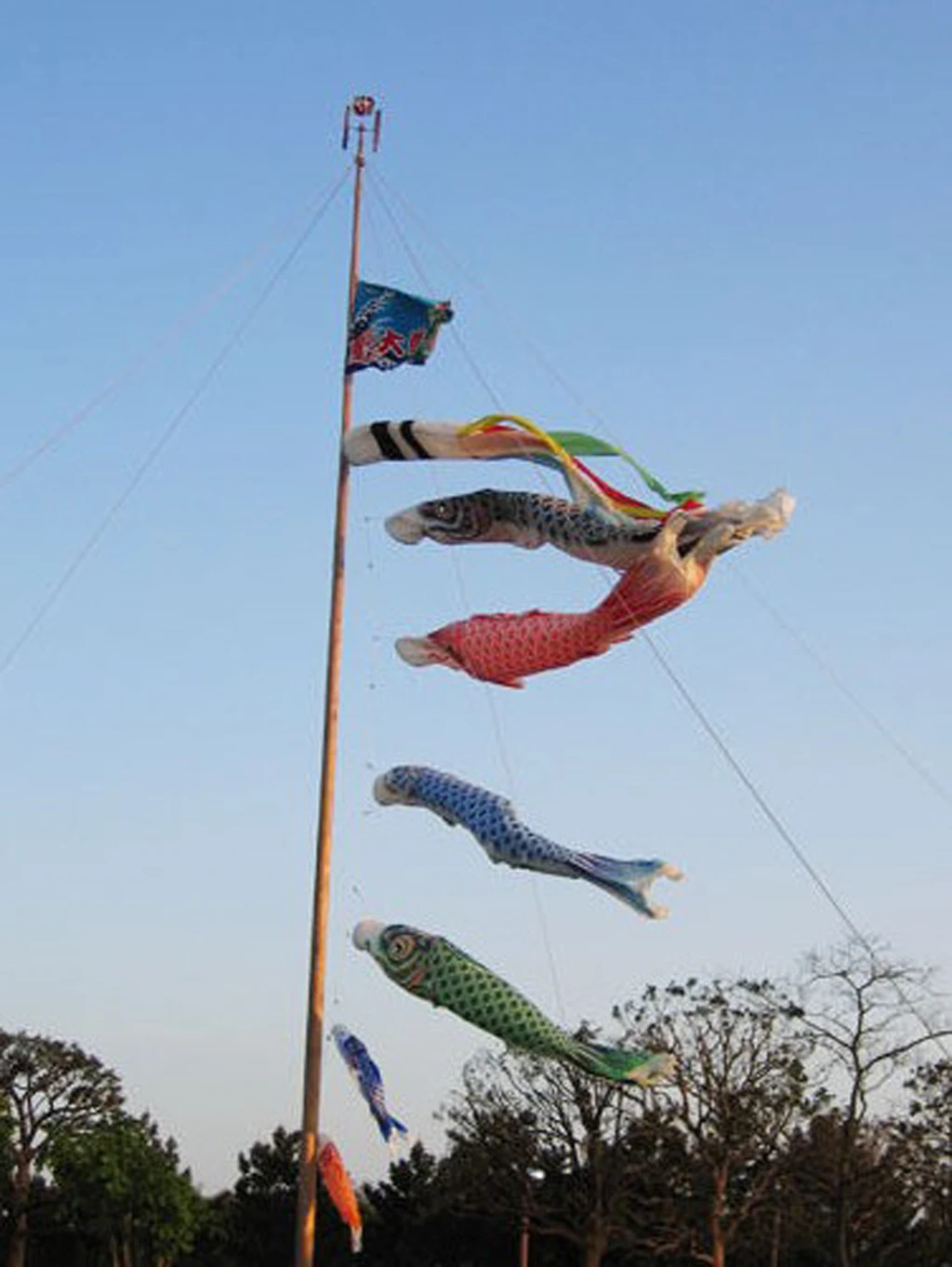 Японский Windsock флаг с изображением карпа Koi Nobori Fish Wind Streamer садовый Декор 70 см (27 6