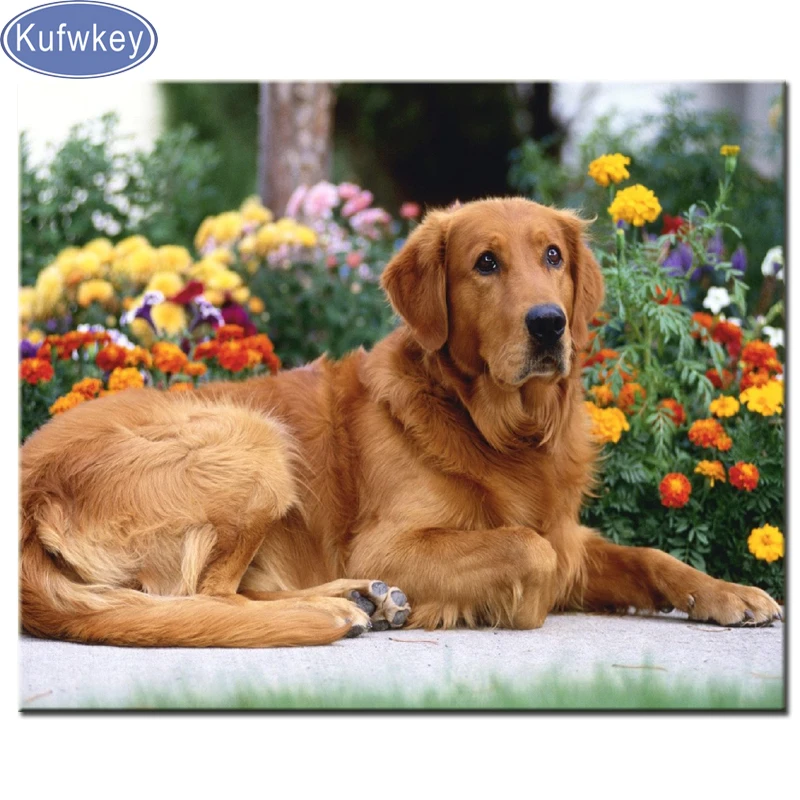 Алмазная мозаика с изображением золотистого ретривера цветов квадратных и