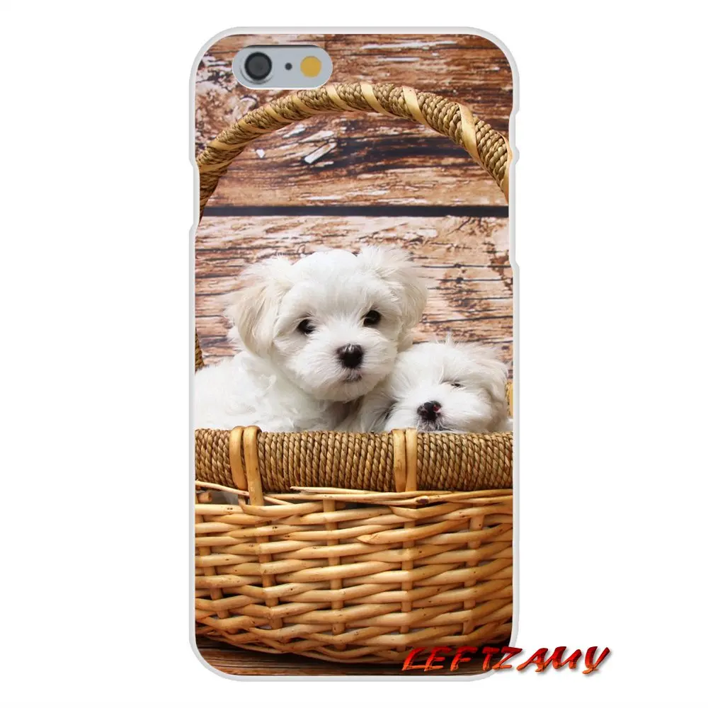 Чехол для телефона с изображением милых белых щенков мальтийской породы на Samsung Galaxy S3 S4 S5 MINI S6 S7 edge S8 S9 Plus Note 2 3 4 5 8.