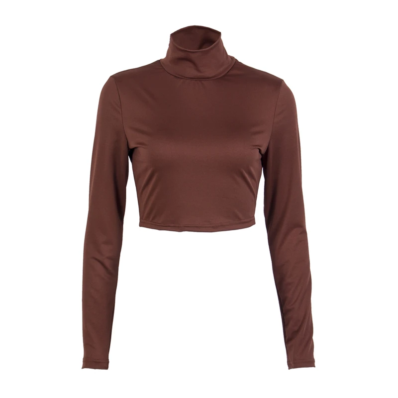 Высокая шея с длинным рукавом Женская полиэфирная блузка Осень Весна Зима