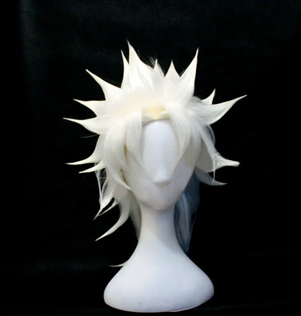 Fate/Apocrypha линейка Shirou Kotomine Tokisada Amakusa косплей парик |