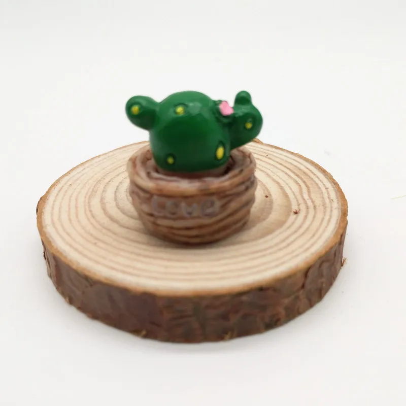 4 шт. суккуленты Цветочные растения мини бонсай миниатюрный Сказочный Сад