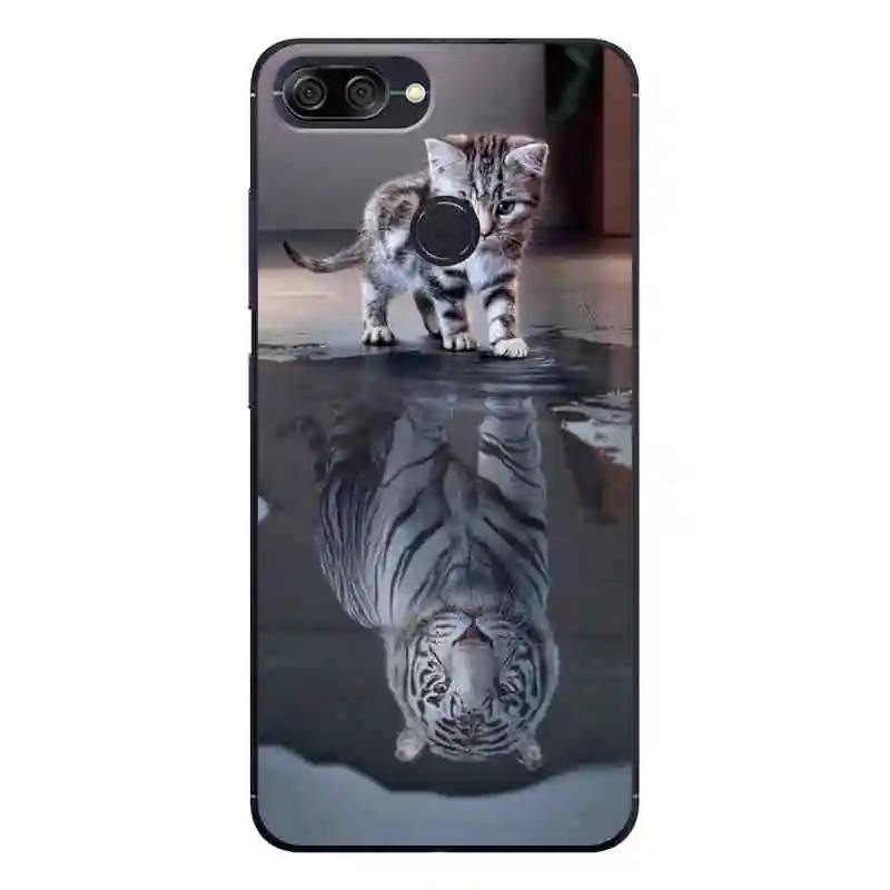 For ASUS ZenFone Max Plus M1 ZB570TL Case Phone Back Cover Painted Asus 5.7" Protection Shell Fundas |