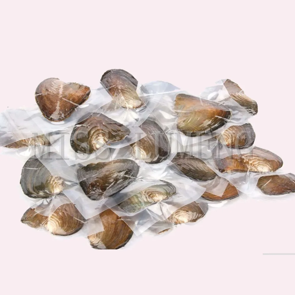 MISS LUMENG 8-10mm 50pcs Fashion Akoya Oyster with Rice Pearls 12 colors in Pearl DIY Birthday Gifts | Украшения и аксессуары