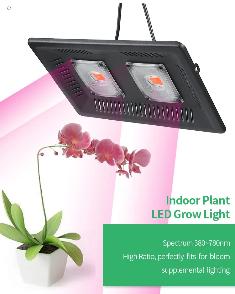 BUYBAY полный спектр светодиодный Grow светильник Водонепроницаемый IP67 100W 200W 300W COB рост потолочные светильник для завода Крытый гидропонное парниковых