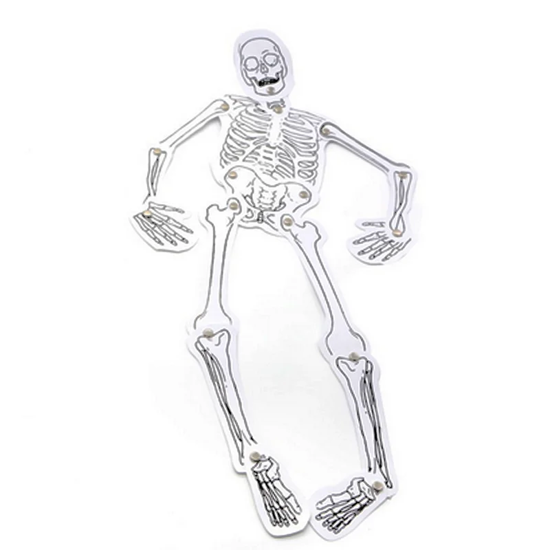 1 Набор ручная работа модель скелетной структуры научный эксперимент