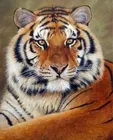 5D алмазная живопись сделай сам, животное тигра, вышивка крестиком, домашний декор, рукоделие
