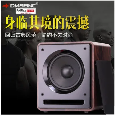 Дания 10 дюймовый длинный ход HIFI Активный супер бас сабвуфер V10 160 Вт Выходная