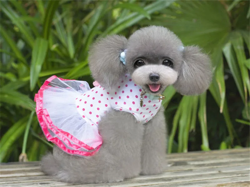 Новые 2015 собака платье для маленький щенок Кошка Собака одежда размеры s и m ini
