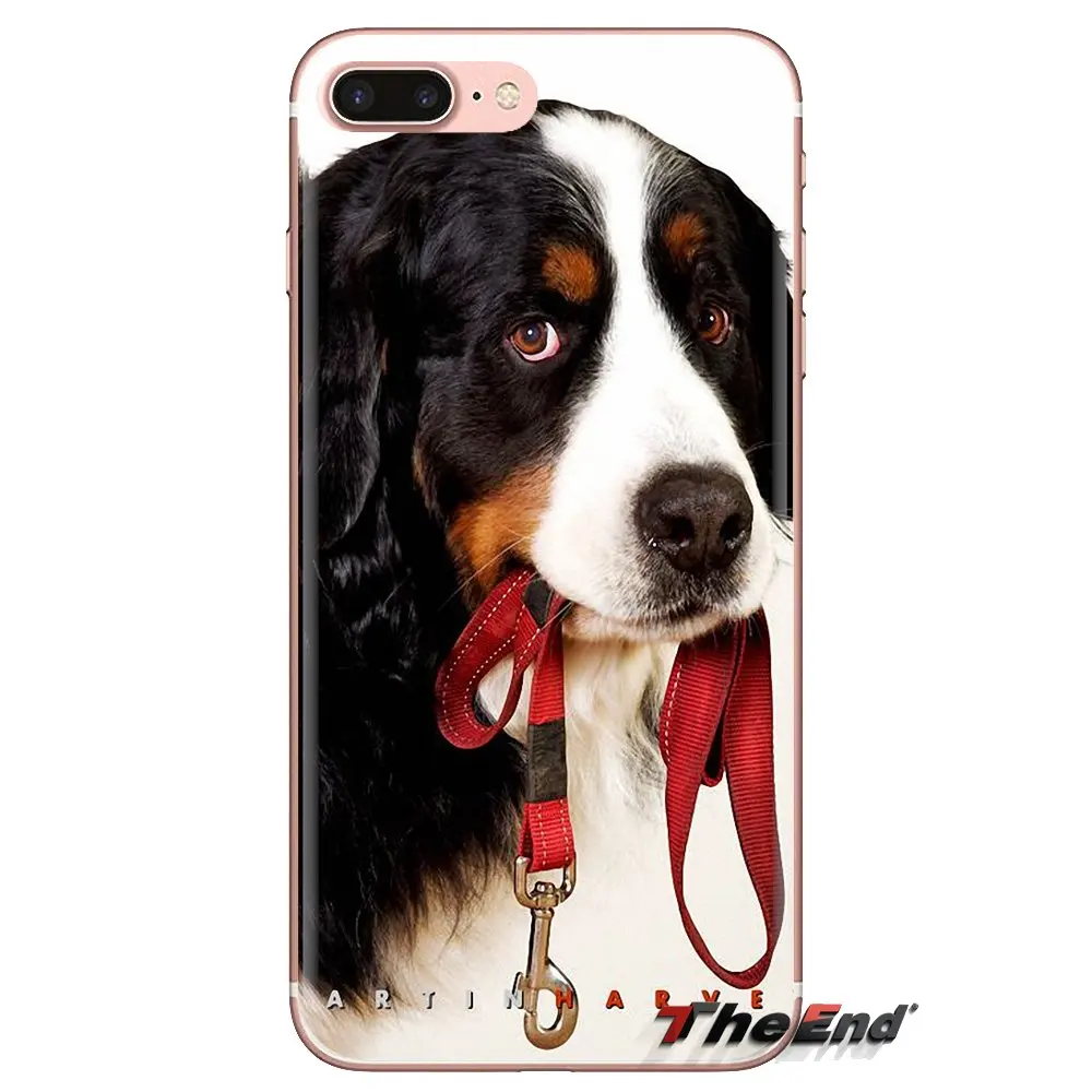 For Xiaomi Mi4 Mi5 Mi5S Mi6 Mi A1 A2 5X 6X 8 9 Lite SE Pro Max Mix 2 3 2S Bernese Mountain Dog puppy Berner Mobile Phone Case |