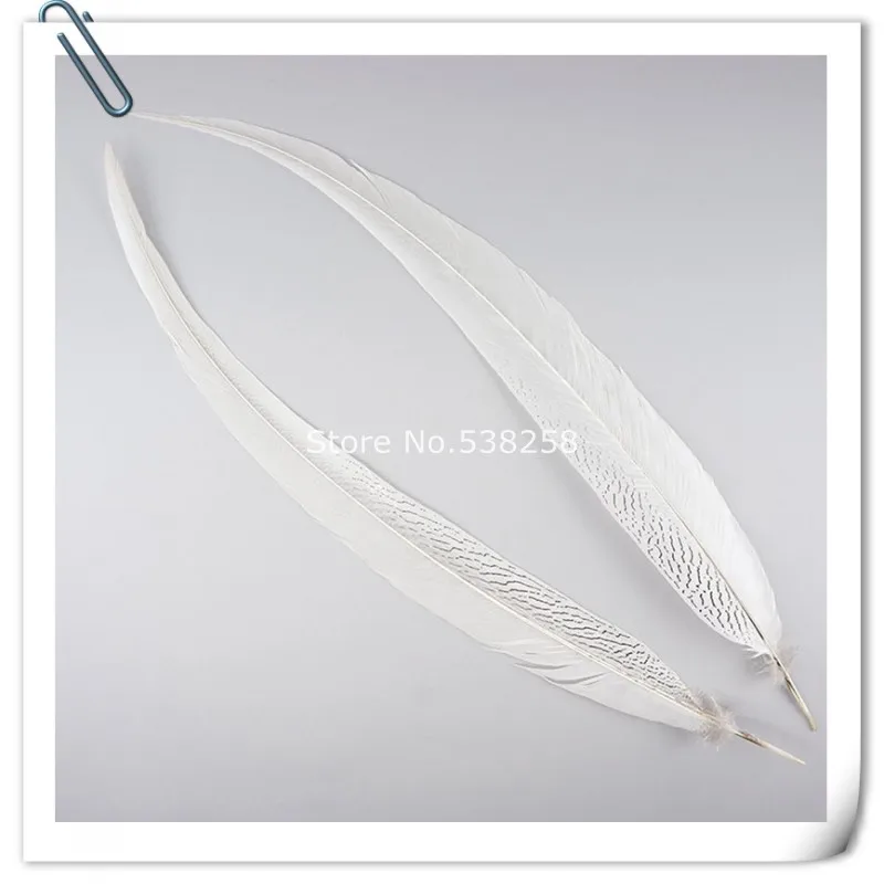 

65-70cm silver pheasant feathers for craft dancer decoration plumages