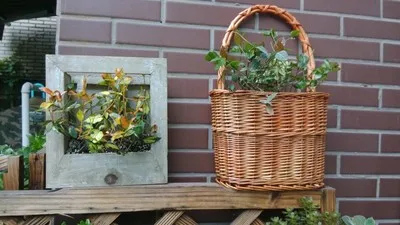 Настенный цветочный горшок деревянный для растений винтажный бонсай 23*6*21 см | Дом