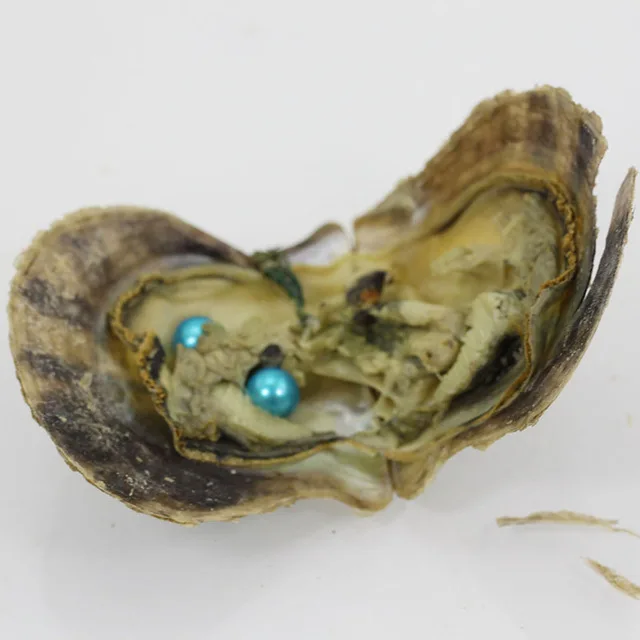 2019 натурального жемчуга акойя качества морской круглый близнецов жемчуг Устрица