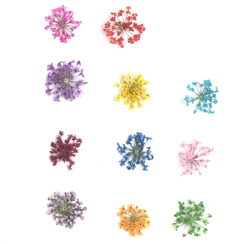 1 чехол 24 шт. сухие цветы Маргаритка на ногти наклейка Gypsophila лист засушенный натуральный лепесток дизайн ногтей Декор настоящая Флора гель маникюрные инструменты