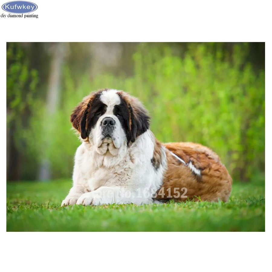 Алмазная картина сделай сам полностью квадратная вышивка Saint Bernard Dog милая