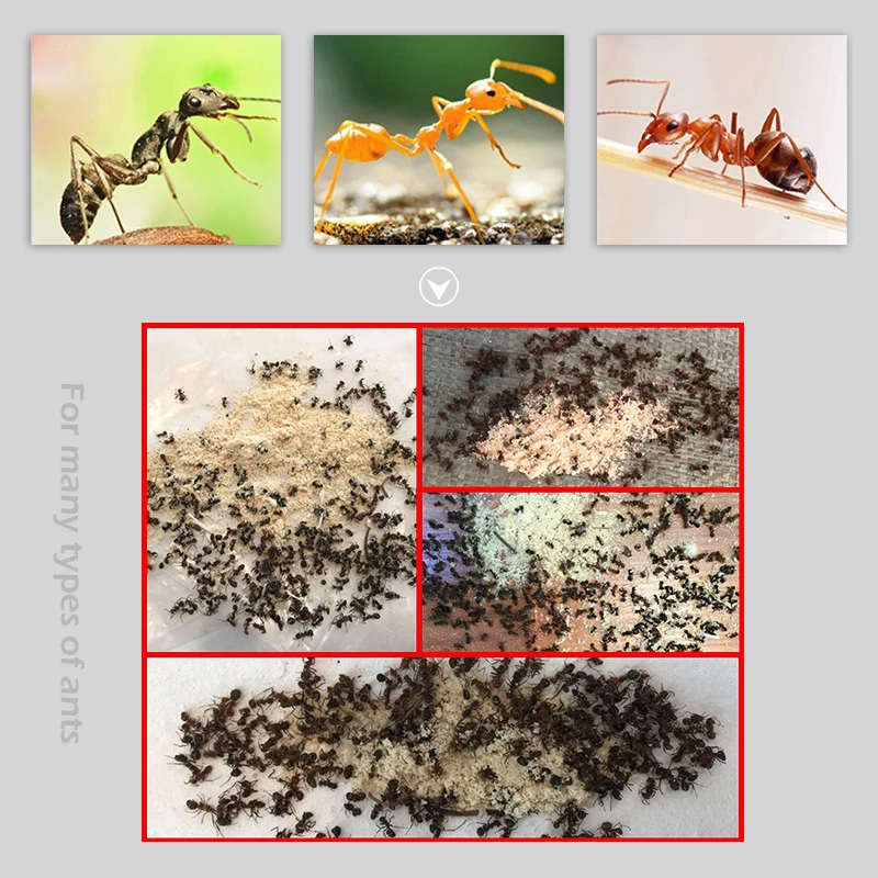 50 шт. мощный эффект муравьиной медицины домино убивает все виды муравьев