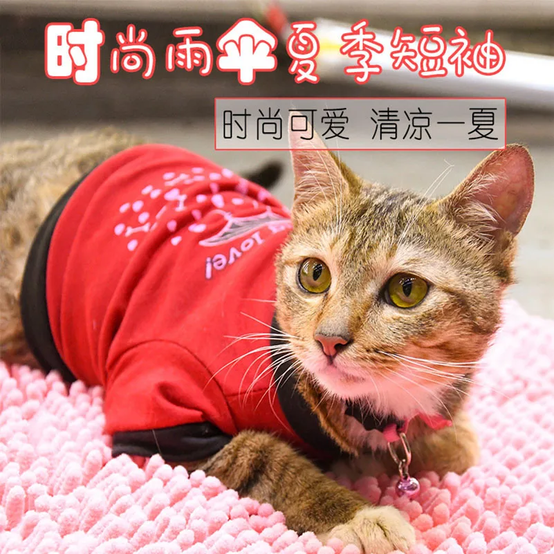 Товары для питомцев кошек и собак популярная модная Милая одежда сезон