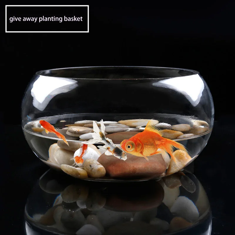 1 шт. стеклянные вазы Настольный аквариум для рыб водный горшок растений