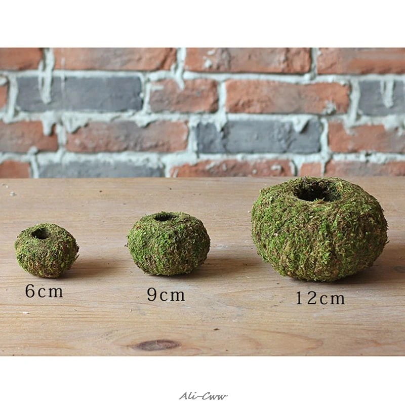 Моховый шар горшок Птичье гнездо цветочное растение для дома офиса стол Сад DIY
