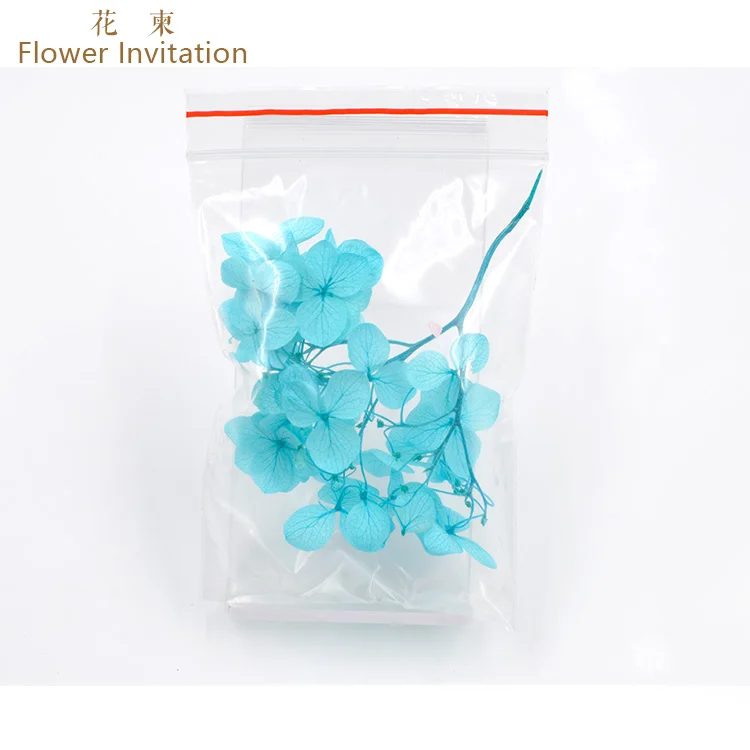 lake blue 5 pieces Цветочные приглашения маленькие листья высокого качества Гортензия_ DIY ручные образцы растений сушеные цветы - Цвет: lake blue 5 pieces