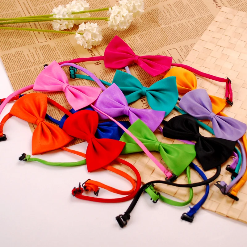 Товары для домашних животных смешанные цвета оптовая продажа Аксессуары ухода