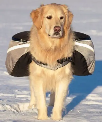 Жилет портупея K9 для домашних питомцев уличный походный дорожный Рюкзак