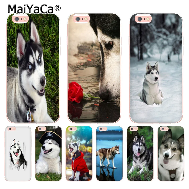 Мягкий чехол из ТПУ MaiYaCa little Husky dogs для iPhone 8 7 6 6S Plus X XS MAX XR 5 5S SE 11pro max | Мобильные