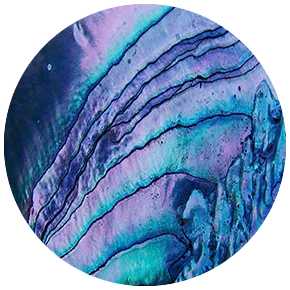 BS005 ZDYING 5 шт./лот круглые стеклянные морские раковины Абалон узор кабошон демонстрационные бусины плоская задняя сторона Изготовление ювелирных изделий BS002 - Цвет: BS005