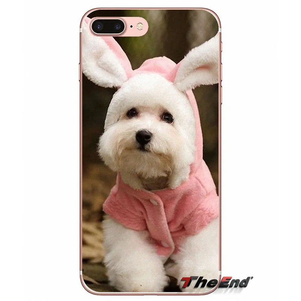 Мягкие прозрачные чехлы для Samsung Galaxy S3 S4 S5 MINI S6 S7 edge S8 S9 Plus Note 2 3 4 5 8 Bichon frise dog puppy |