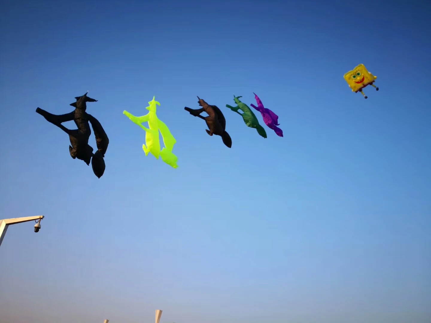 Большой 3d Акула cerf volant vlieger воздушные змеи для взрослых воздушный змей Летающий воздушный змей cometas para adultos windsock мягкий воздушный змей Летающий ripstop koi fish