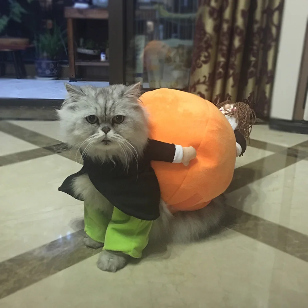 Смешной костюм для домашних животных косплея с тыквой кошек Рождественская