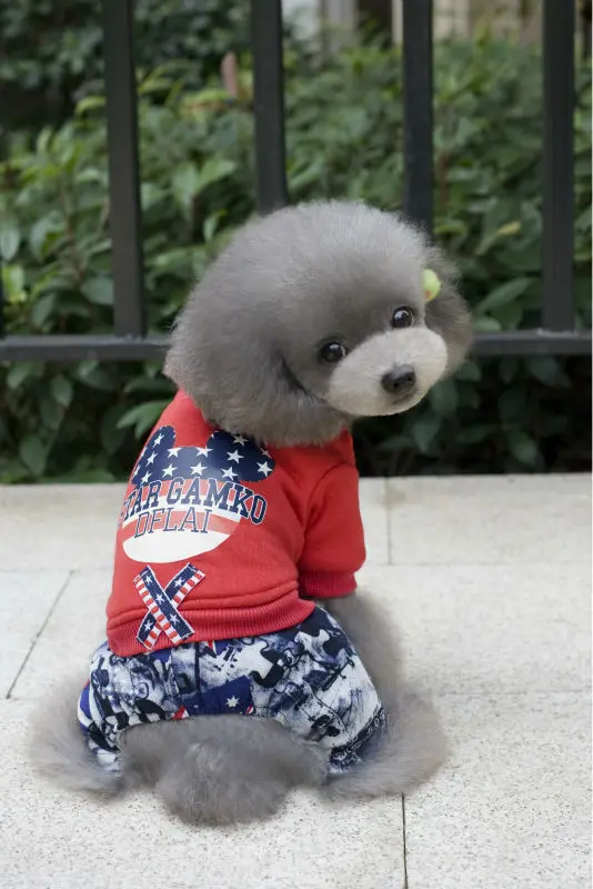 Зимняя хлопковая одежда Y104 для собак теплый милый костюм Микки Мауса домашних на