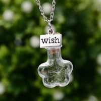 mni drifting bottle with natural dry dandelion seeds pendant necklaces women silver chain wish charms choker jewelry party gift