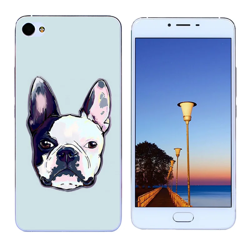 for Meizu U20 Case Soft Silicone Back Cover u20 Capa Hand Printing funda U 20 5.5&quot Coque Bag |