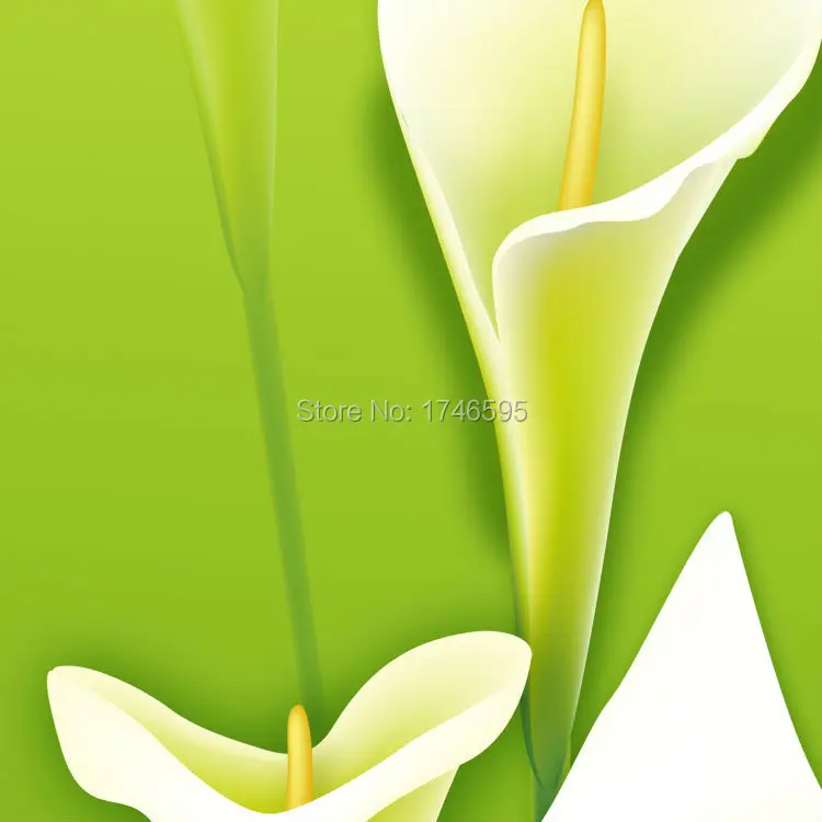 Большой 3 шт зеленый Калла Лили цветок стены искусства картины печать для