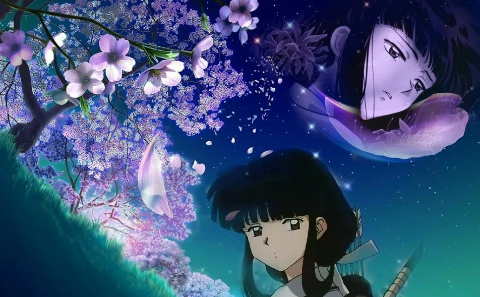 Знаменитая коробка Inuyasha 5D поделки алмазов картина кристалл живописи