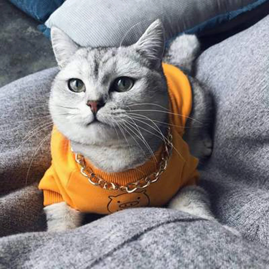 Одежда для кошек костюм Мода 100% хлопок котенок одежда Рождественская домашних