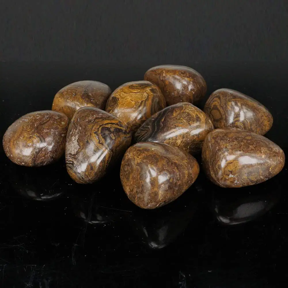 Крупными партиями ископаемого камня Stromatolite натуральная полированная