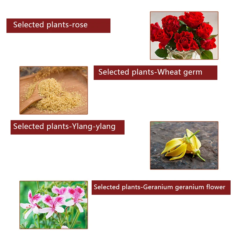 Масло для массажа груди лифтинг-ап увлажняющий питательный массаж эфирное масло