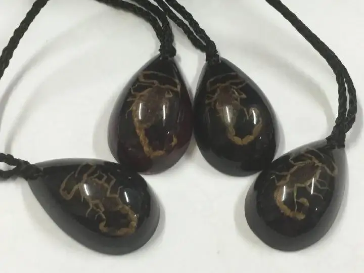 20 шт. индивидуальность Ретро таксидермия Новый настоящий черный золотой