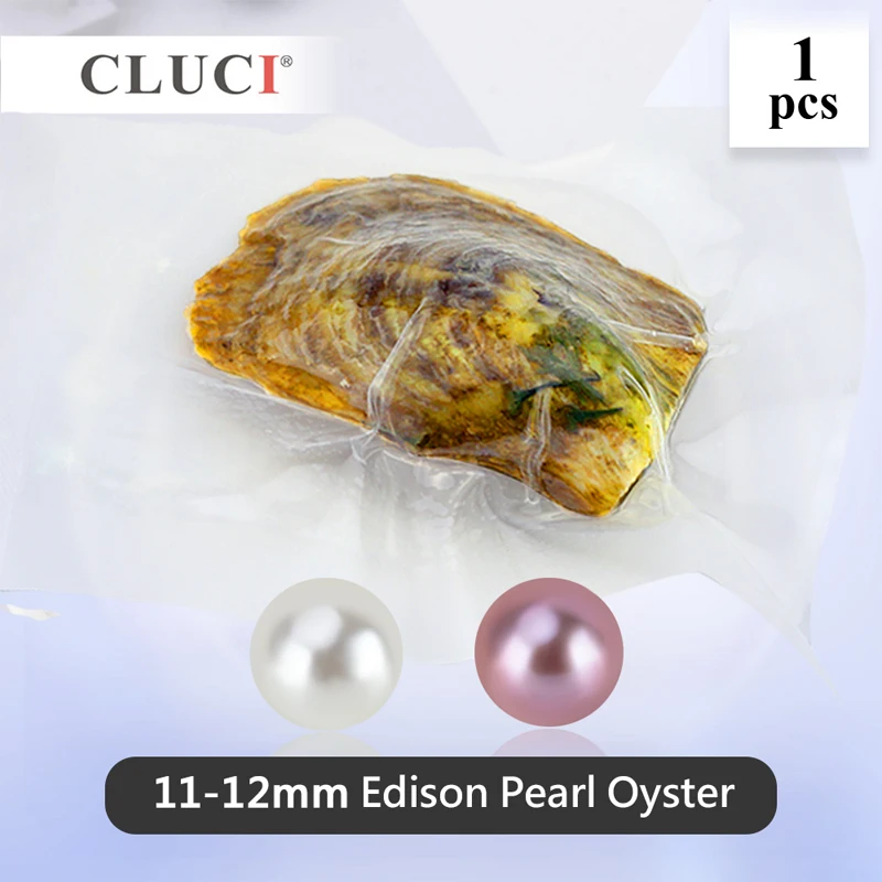 

CLUCI 1 Pcs 11-12mm Big Edison Pearls in Oysters Round Single Packaged Genuine Edison Pearl Beads Edison Pearl Oyster WP351SB