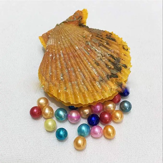 

HENGSHENG 10 Pieces Red Oysters with Twins Nearly Round Pearls Inside 32 Colors Pearl Oysters Akoya Oysters Party Gifts (7-8 mm)