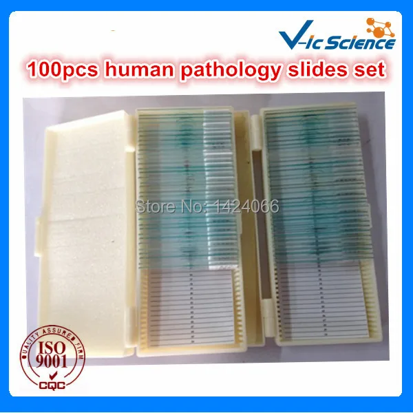 Медицинские науки 100 шт патологии человека Горки Набор|pathology slides|set 10set medic |