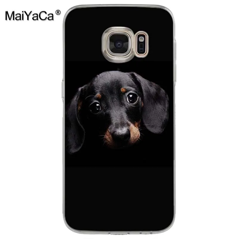 Чехол для телефона MaiYaCa black Dachshund Doberman с рисунком лица собаки samsung galaxy s9 plus s7 s6 edge s5 s8