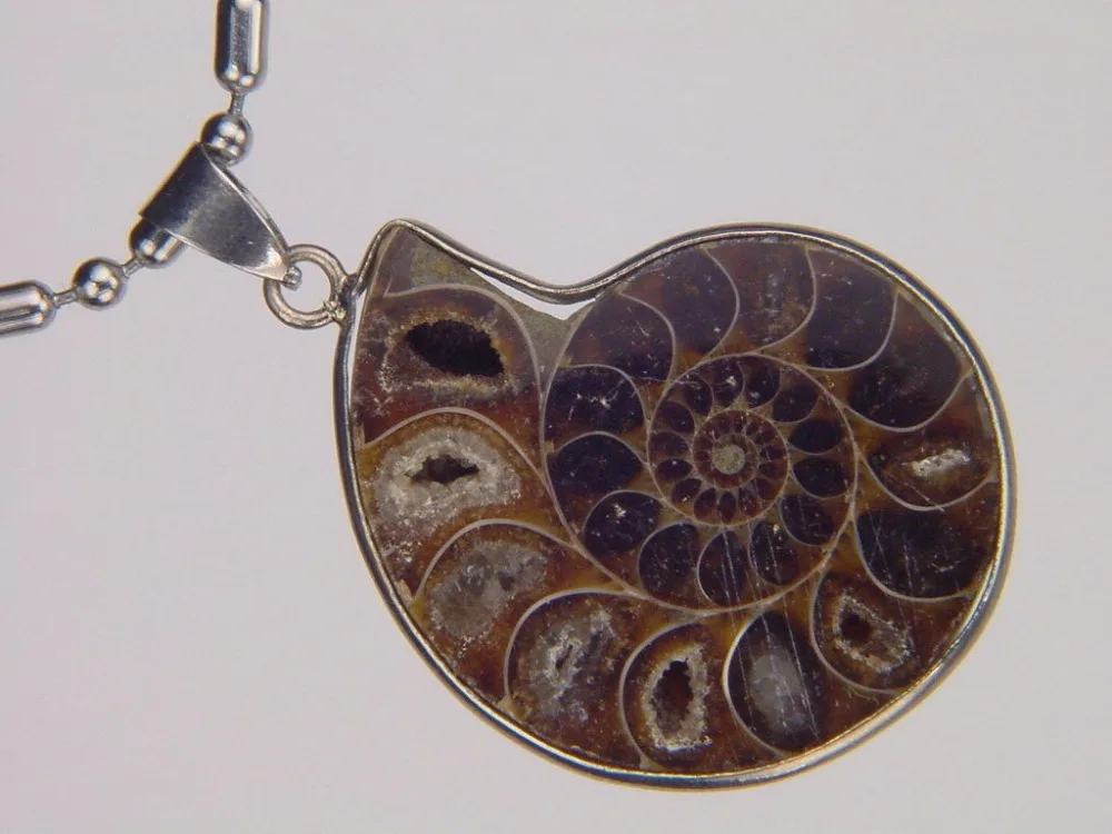 Подвеска из натурального аммонита 5 шт. 30-40 мм | Украшения и аксессуары