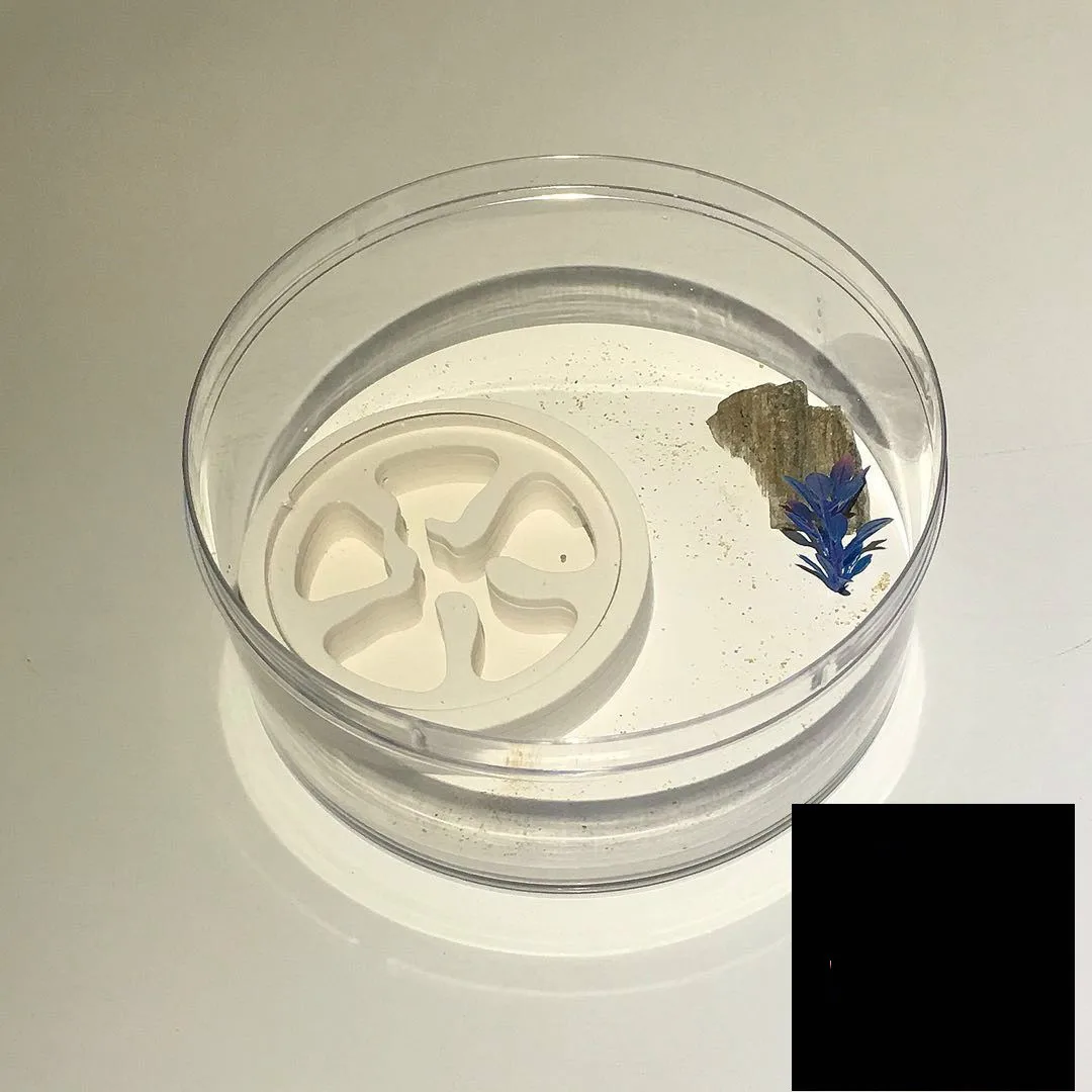1 шт. маленький круглый ant nest акриловый pet подарок на день рождения украшение стола