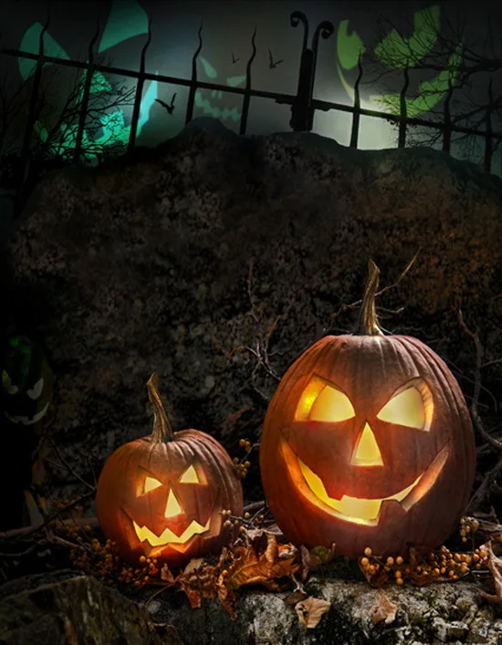 

7X10ft Thin vinyl cloth photography backdrops computer Printing photo backdrops halloween backgrounds for photo studio ha-004